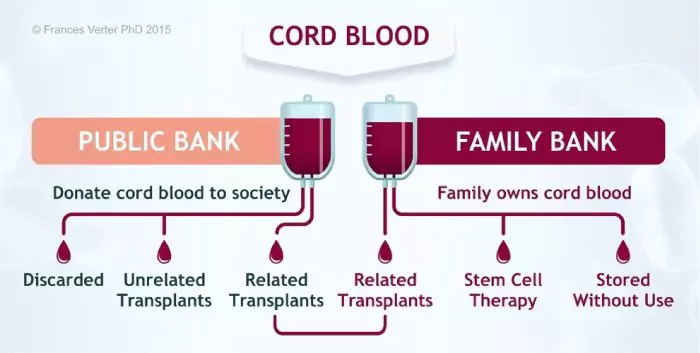 নাভিরজ্জুর রক্ত (Umbilical Cord Blood-UCB)- গবেষণা এবং সম্ভাবনা